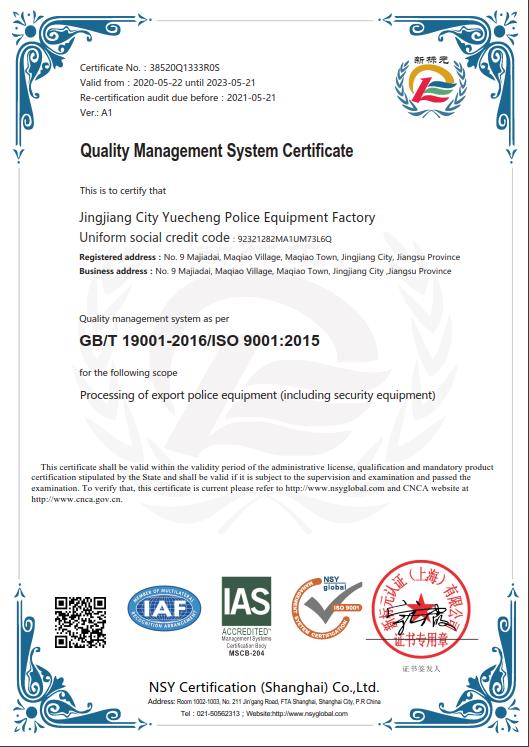 ISO 9001 质量体系 英文
